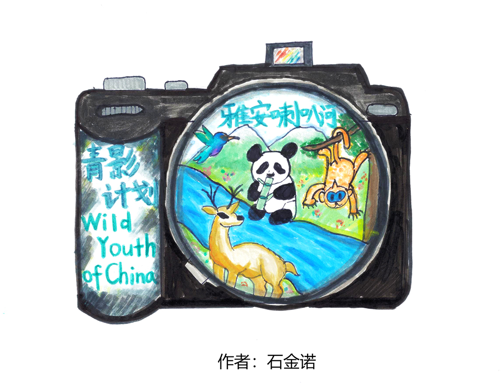 活动标识-作者：石金诺